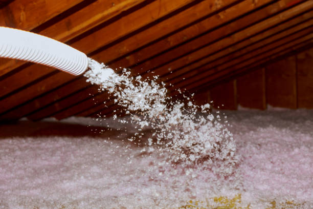 Best Spray Foam Insulation in Laurel Hill, VA