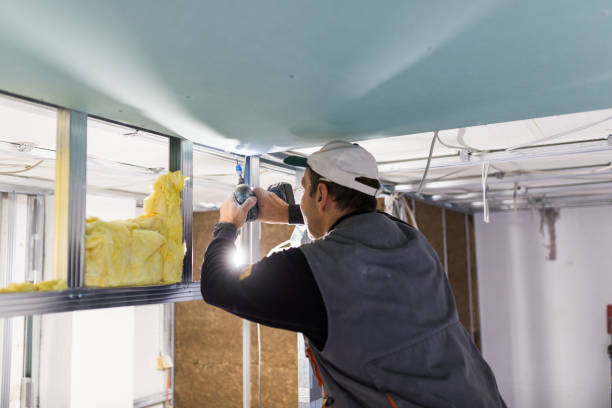 Best Spray Foam Insulation in Laurel Hill, VA
