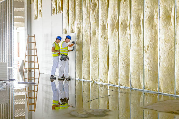 Best Blown-in Insulation in Laurel Hill, VA